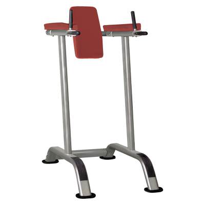 Брусья-пресс Aerofit IT7010 Профессиональный тренажёр имеет актуальный и функциональный внешний вид.
Прочная конструкция тренажёра, которая достигнута благодаря высокоточной технологии сварки, изготовлена из качественного материала &ndash; овальных профильных труб.
Новейшие технологии покраски рамы позволяют создать лучшее сцепление металла с поверхностью, покрытой лаком.
Вес: 53 кг.
Габариты: 1,13х0,78х1,52 м.
&nbsp;
