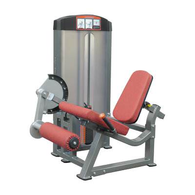 Разгибание ног Aerofit IF8105 Разгибание ног Aerofit IF8105 Новая линия профессионального спортивного оборудования AEROFIT IF LINE – это качественные, надёжные и недорогие тренажёры, которые разработаны специально для фитнес центров и спортивных залов американскими специалистами. Каждая единица оборудования выполнены в соответствии с последними технологиями и мировыми стандартами безопасности.
Спортивное оборудование серии IF обладает рядом преимуществ. Они не только комфортны в эксплуатации, но и удобны при транспортировке и установке. Тренажёры доставляются клиентам в разобранном состоянии, поэтому их можно без лишних усилий занести в помещение.
Каждый тренажёр обладает плавным обтекаемым профилем.