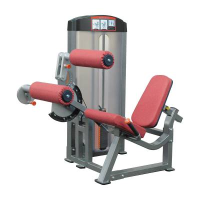 Сгибание ног сидя Aerofit IF8106 Сгибание ног сидя Aerofit IF8106 Новая линия профессионального спортивного оборудования AEROFIT IF LINE – это качественные, надёжные и недорогие тренажёры, которые разработаны специально для фитнес центров и спортивных залов американскими специалистами. Каждая единица оборудования выполнены в соответствии с последними технологиями и мировыми стандартами безопасности.
Спортивное оборудование серии IF обладает рядом преимуществ. Они не только комфортны в эксплуатации, но и удобны при транспортировке и установке. Тренажёры доставляются клиентам в разобранном состоянии, поэтому их можно без лишних усилий занести в помещение.
Каждый тренажёр обладает плавным обтекаемым профилем.