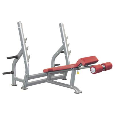 Олимпийская скамья с отрицательным наклоном Aerofit IT7016 Профессиональный тренажёр имеет актуальный и функциональный внешний вид;

Прочная конструкция тренажёра, которая достигнута благодаря высокоточной технологии сварки, изготовлена из качественного материала &ndash; овальных профильных труб. Профиль стали: J50&times;70&times;2.5, Ф50&times;2.5, RT50&times;100&times;2.5;

Новейшие технологии покраски рамы позволяют создать лучшее сцепление металла с поверхностью, покрытой лаком;
